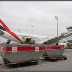 Airbus A 330-200 Dubai Emirates II