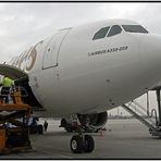 Airbus A 330-200 Dubai Emirates III