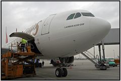 Airbus A 330-200 Dubai Emirates III