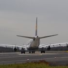 AIRBUS A-340 - 300 Lufthansa Heckansicht