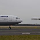 AIRBUS A-340 - 300 meets Boeing 737 - 800