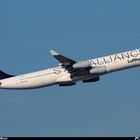 Airbus A-340-311 Lufthansa *Star Alliance*