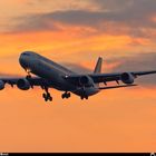 Airbus A-340-642 South African Airways *Star Alliance*