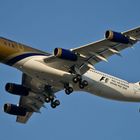 Airbus A 340, Gulf Air