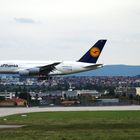 Airbus A 380 - 800 am 02.09.2010 bei der Landung auf dem Flughafen Stuttgart...