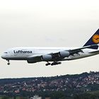 Airbus A 380 - 800 am 02.09.2010 bei der Landung auf dem Flughafen Stuttgart...