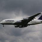 AIRBUS A 380 800