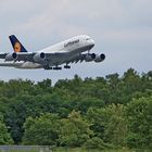 Airbus A 380 - 800.....die erste Maschine der Lufthansa....