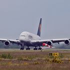 Airbus A 380 "D-AIMA"