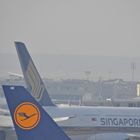 Airbus A 380 Singapore Airlines