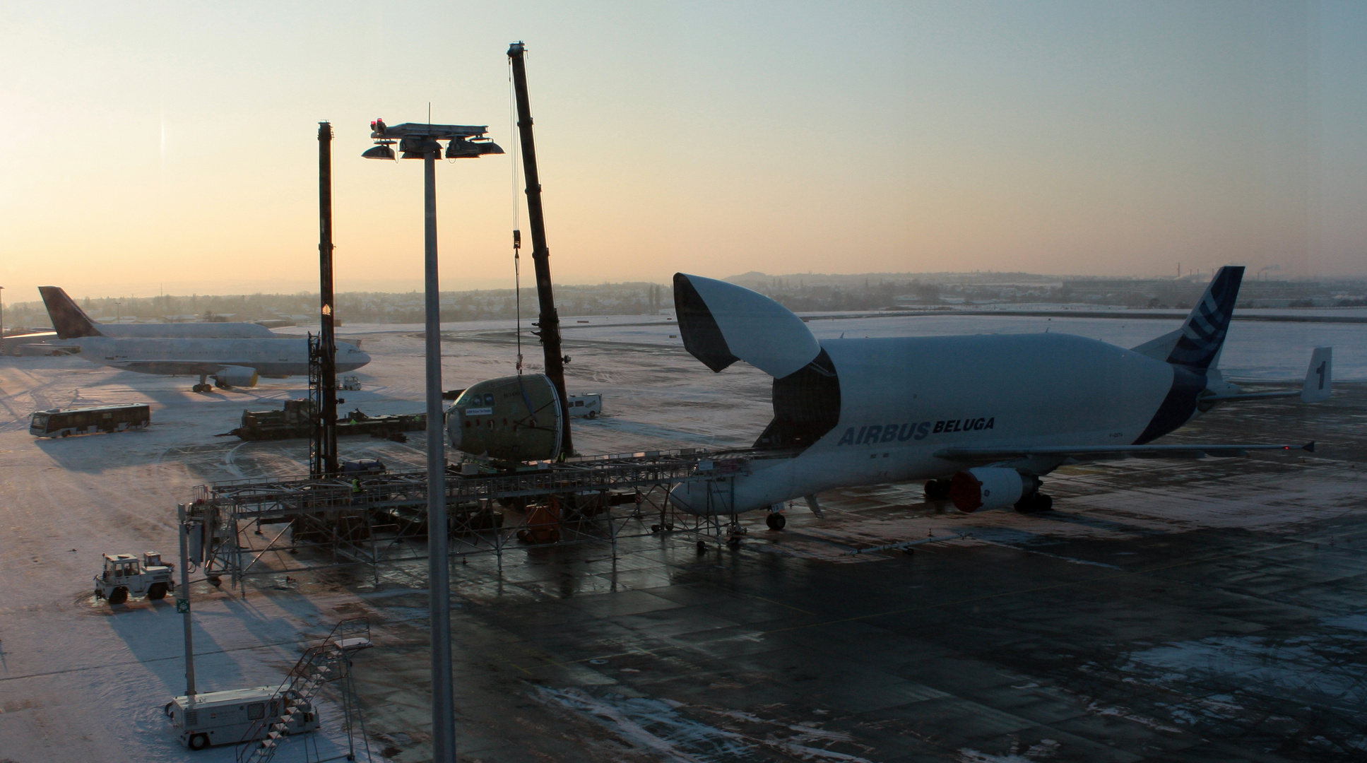 Airbus A300-608ST Beluga (Bild 1)