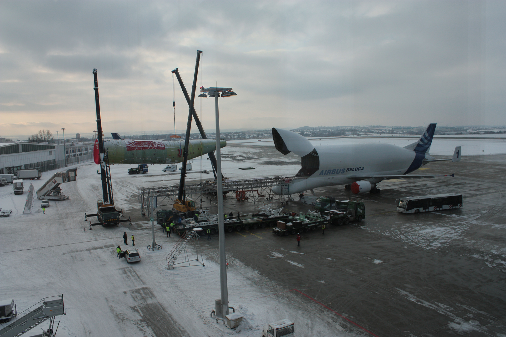 Airbus A300-608ST Beluga (Bild 3)