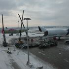 Airbus A300-608ST Beluga (Bild 3)