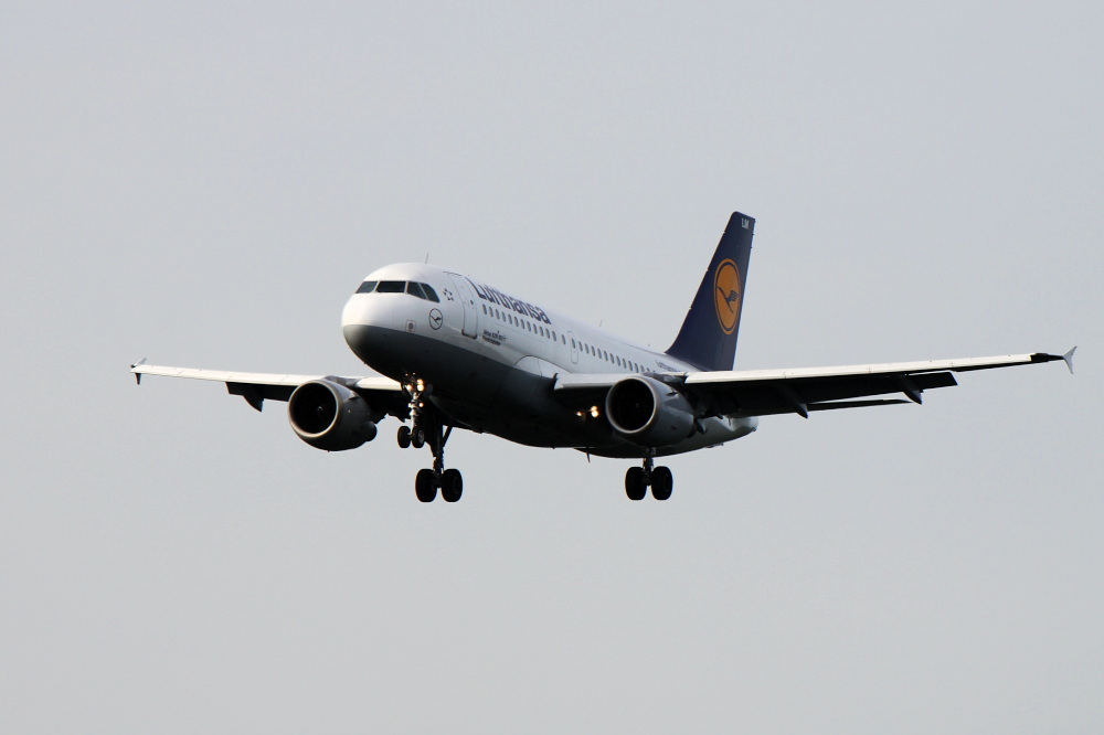 Airbus A319-100 "Friedrichshafen"