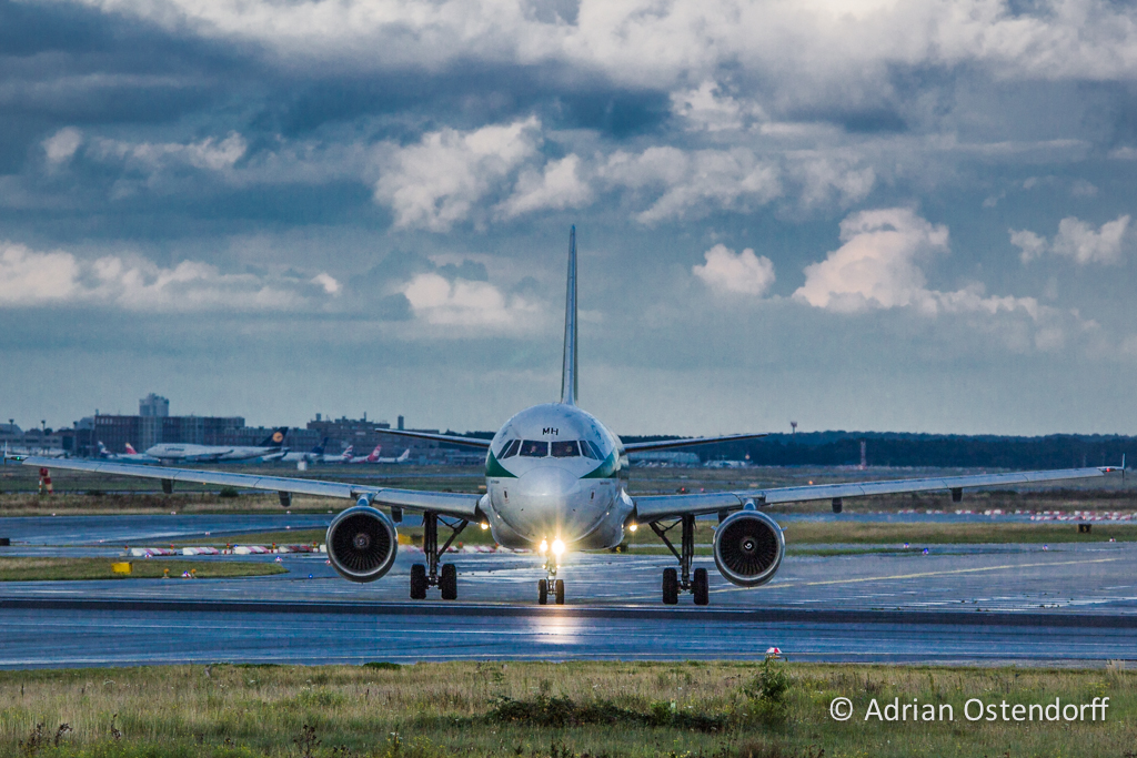 Airbus A319 von Alitalia am Airport Frankfurt