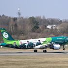 Airbus A320-214  Irish Rugby Team Livery