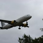 Airbus A320 (Vueling)