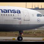 Airbus A330 Lufthansa
