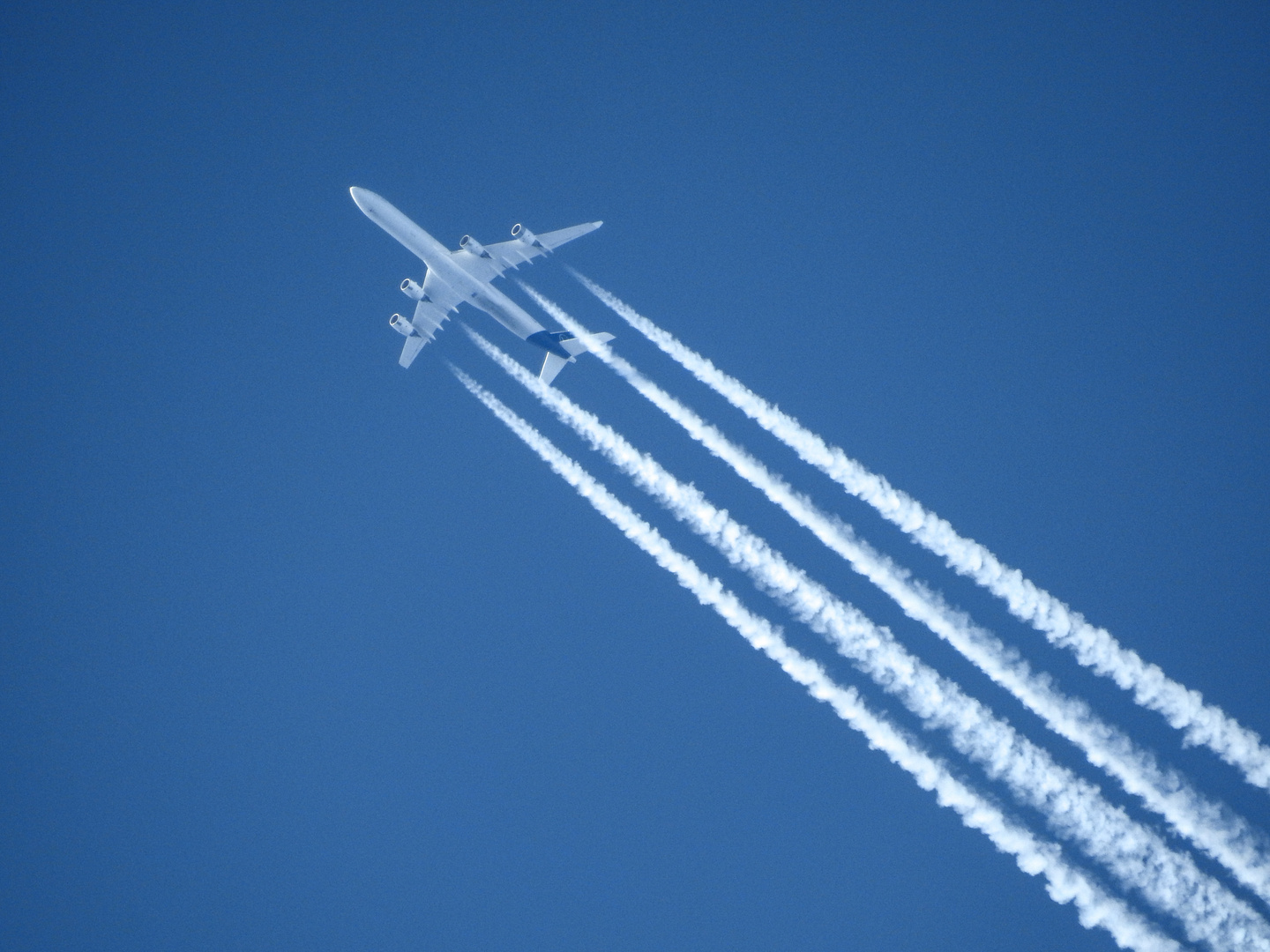 Airbus A340 der Lufthansa