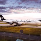 Airbus A340 (Star Alliance, Lufthansa)