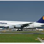Airbus A380-800 D-AIMG in Wien (2)