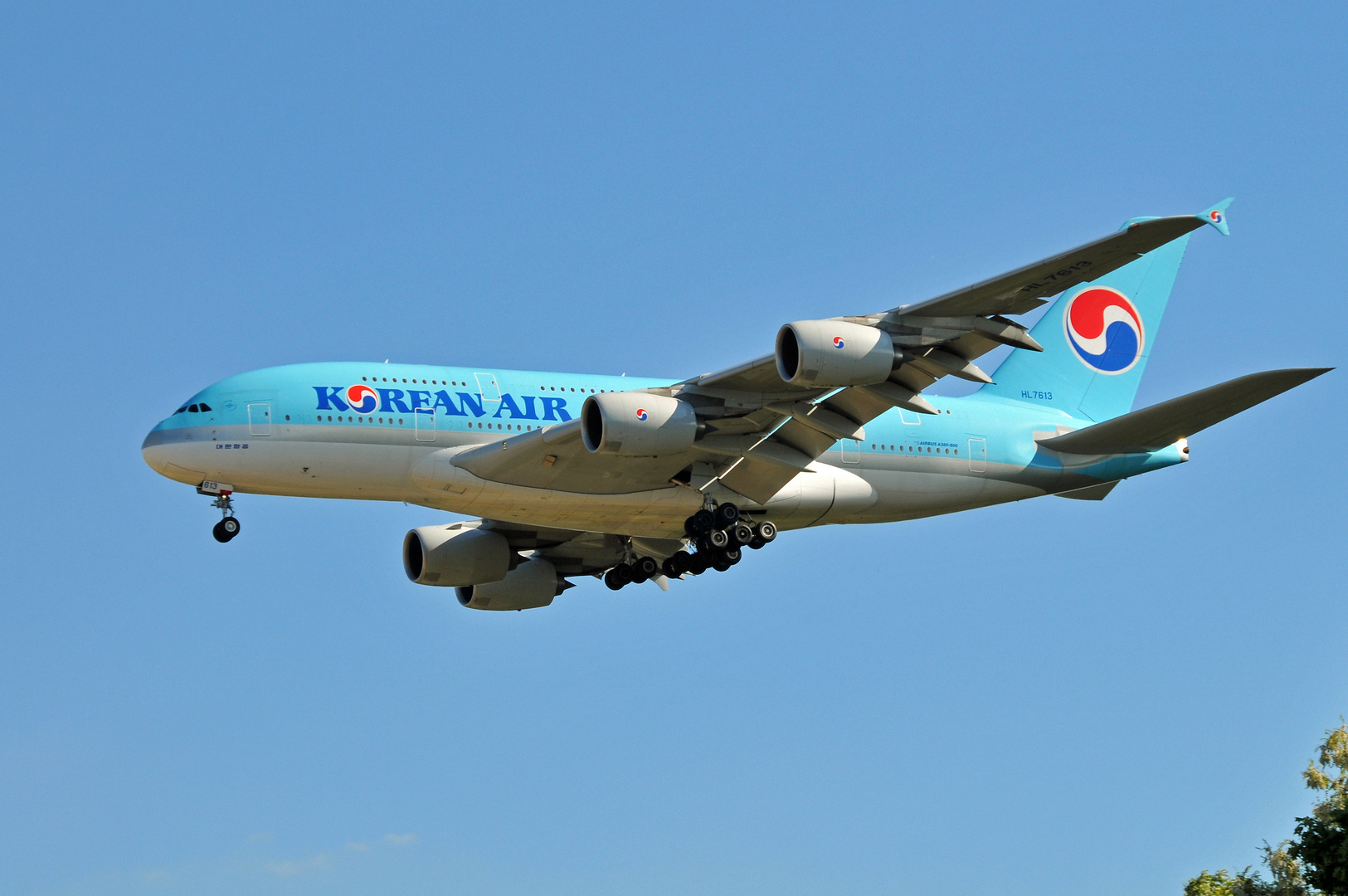 Airbus A380-800 der Korean Air beim Landeanflug auf den Airport Frankfurt