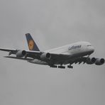 Airbus A380-800 im Anflug VIE