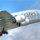 Airbus A380 - 800 Start