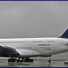 Airbus A380 auf dem Flughafen Halle/Leipzig - 01.06.2010