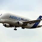 Airbus Beluga -1