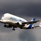  Airbus Beluga 1