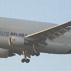Airbus "Beluga 2" kommt .......!