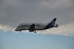 Airbus Beluga