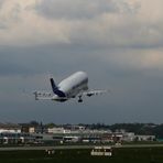 Airbus Beluga 5 ... Hamburg Finkenwerder