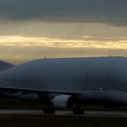 Airbus Beluga