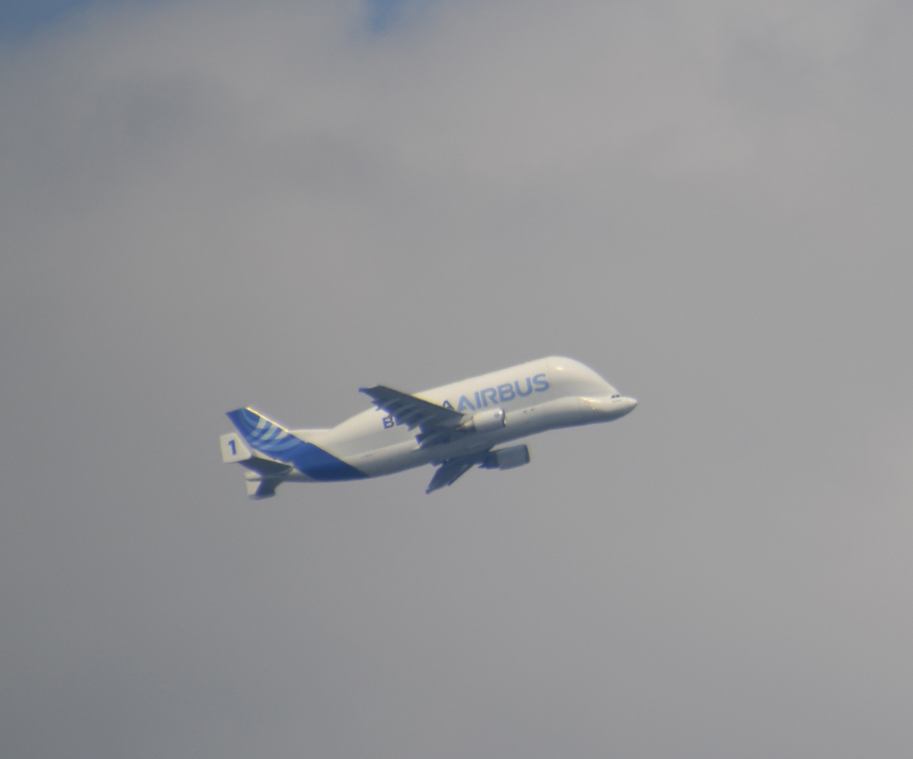 Airbus "Beluga" - A300-600ST