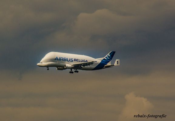Airbus Beluga