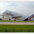 Airbus - "Beluga"