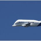 Airbus Beluga ... die ZWEITE
