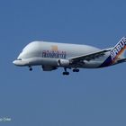 Airbus Beluga Nr. 4