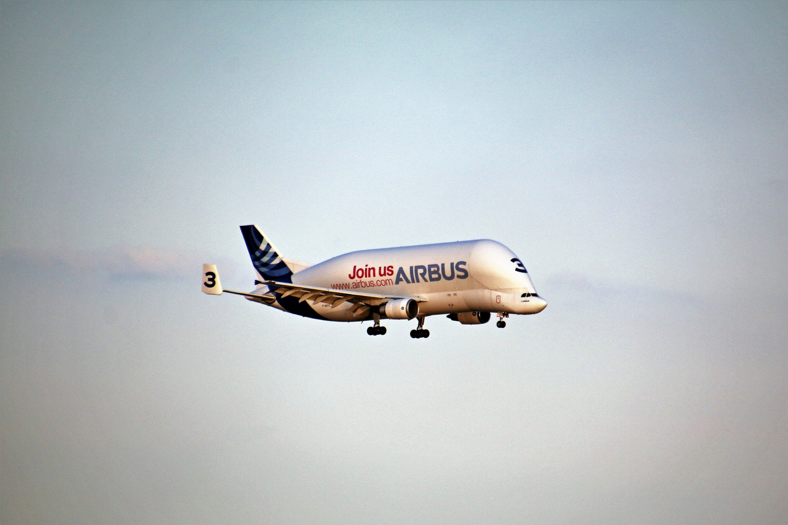 Airbus Beluga über Hamburg