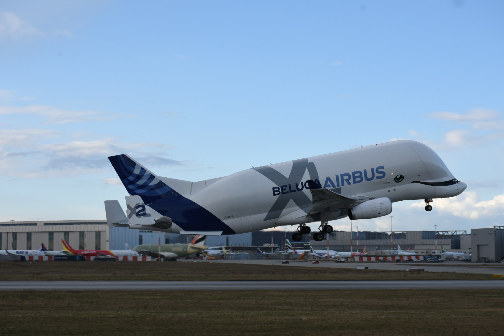 Airbus Beluga XL 2 beim Abflug aus Hamburg Finlenwerder