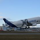 Airbus Beluga XL 2 beim Abflug aus Hamburg Finlenwerder