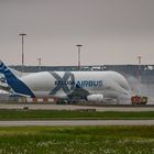 AIRBUS Beluga XL - Begrüßung