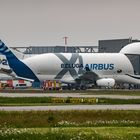 AIRBUS Beluga XL - ganz schön große Klappe