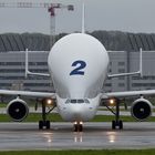 Airbus-Beluge in Finkenwerder