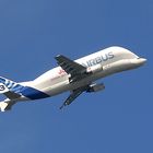 Airbus Frachtflugzeug Beluga 3