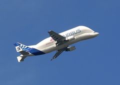 Airbus Frachtflugzeug Beluga 3