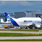 Airbus Frachtflugzeug Beluga 4 in Hamburg-Finkenwerder "eingedockt".....