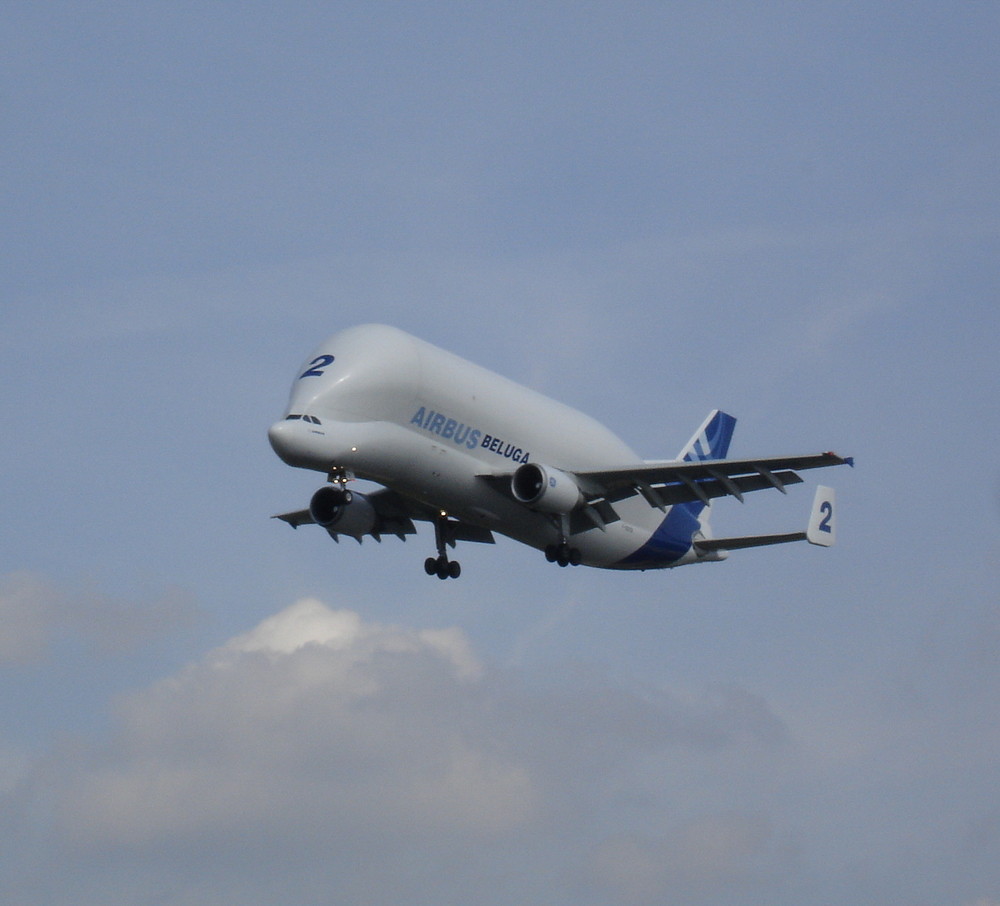 Airbus-Transport-Flugzeug BELUGA 2 im Landeanflug Hamburg-Finkenwerder